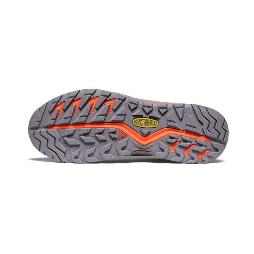 Ibis gris acier/écarlate