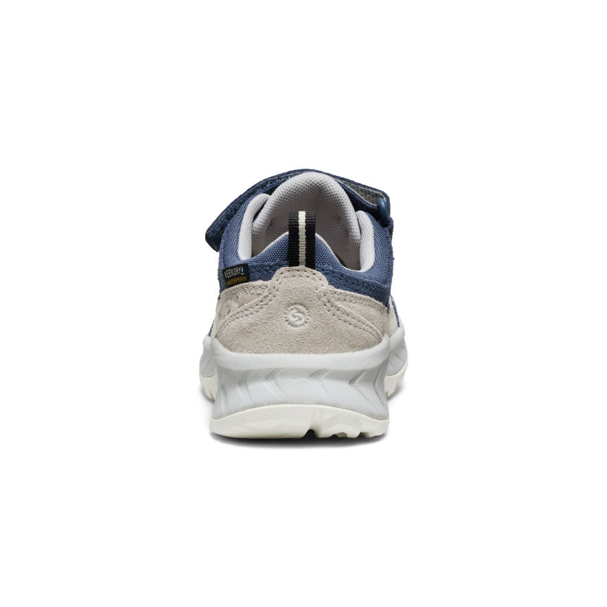 Vintage Indigo/Alloy