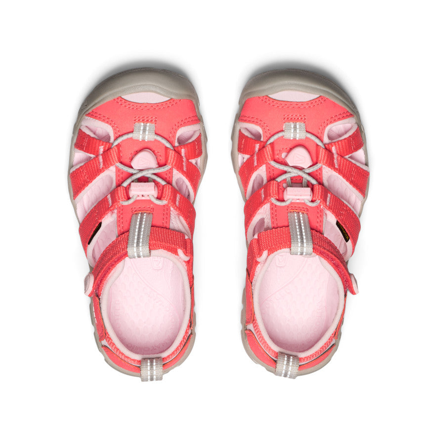Camp marin pour jeunes enfants II CNX Dubarry/Rose Rigolo