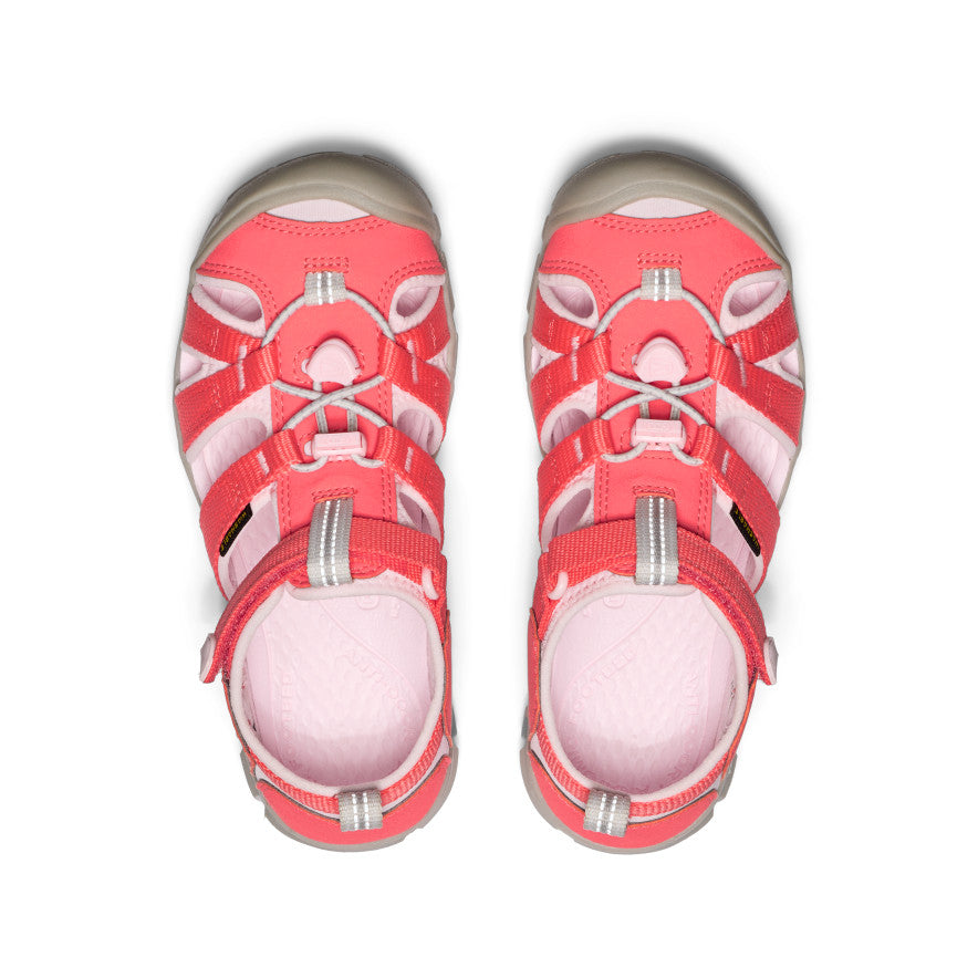 Dubarry/Rose Rigolo