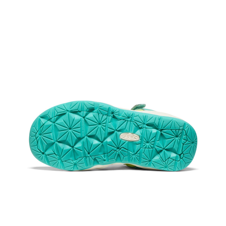 Bleu turquoise vif/Souci vif
