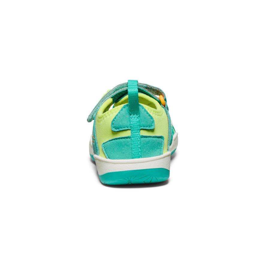 Bleu turquoise vif/Souci vif