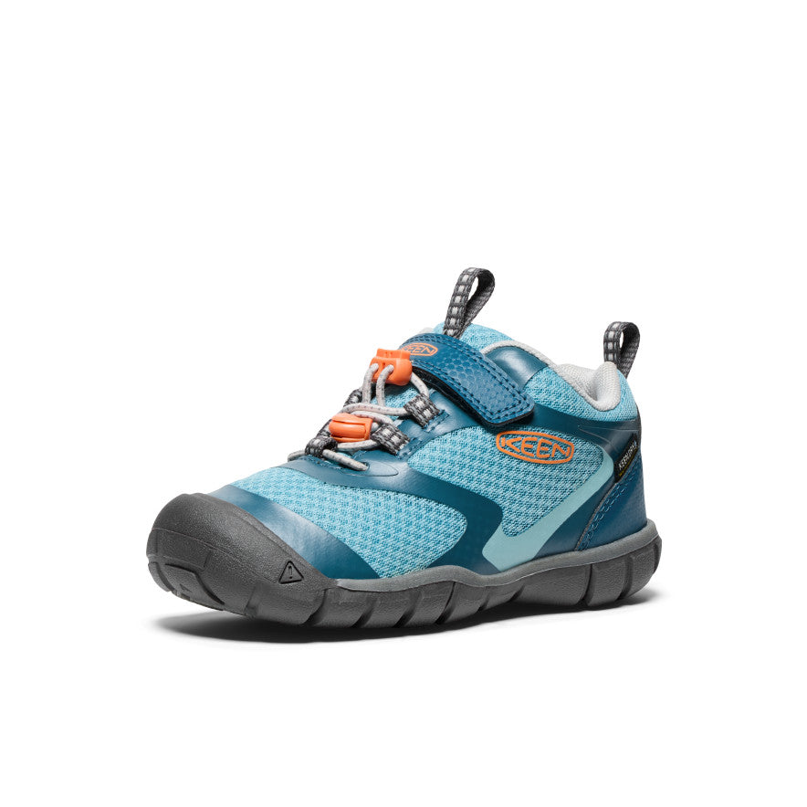 Légion Bleu/Nectarine