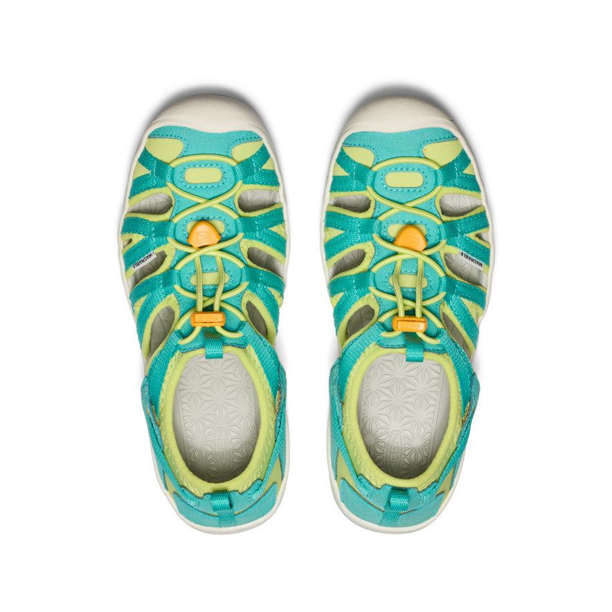 Bleu turquoise vif/Souci vif