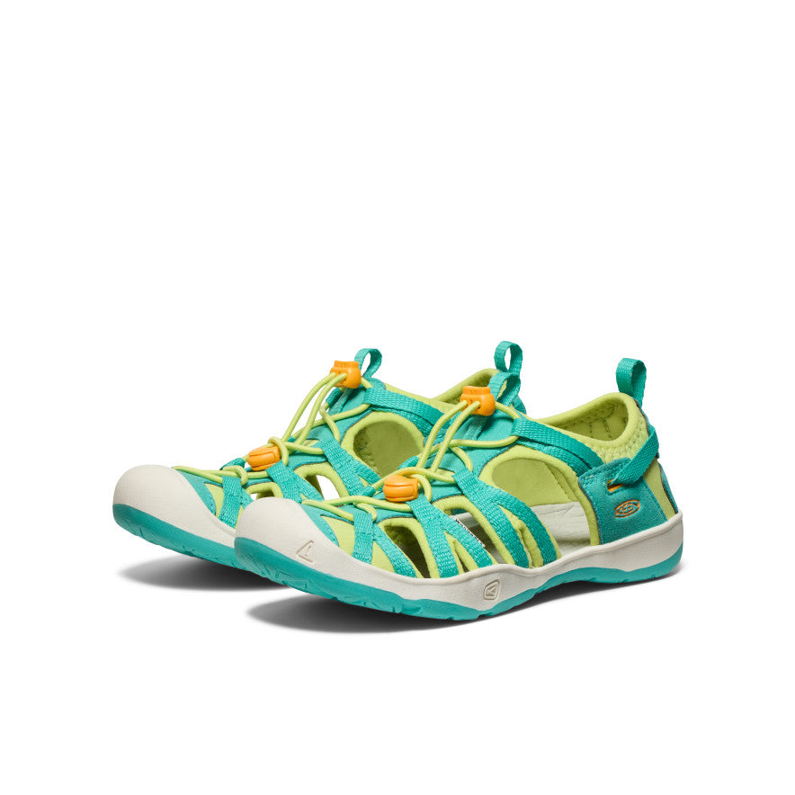 Bleu turquoise vif/Souci vif