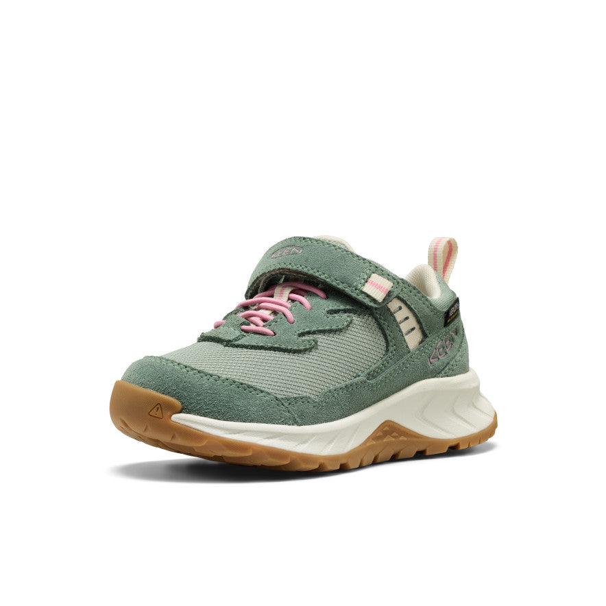 Lily Pad/Cashmere Rose