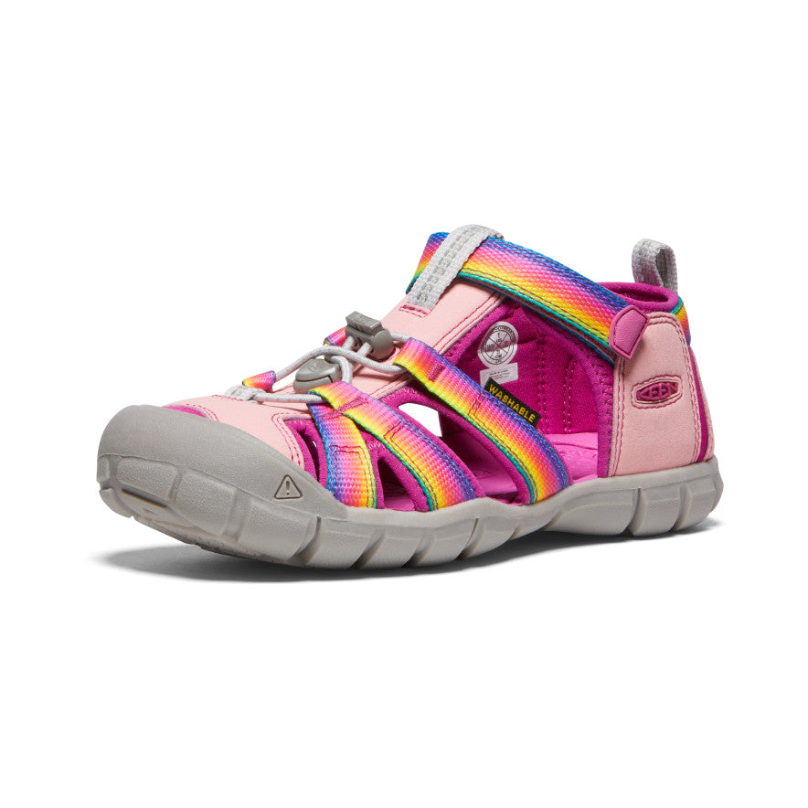 Arc-en-ciel/Fuchsia festival
