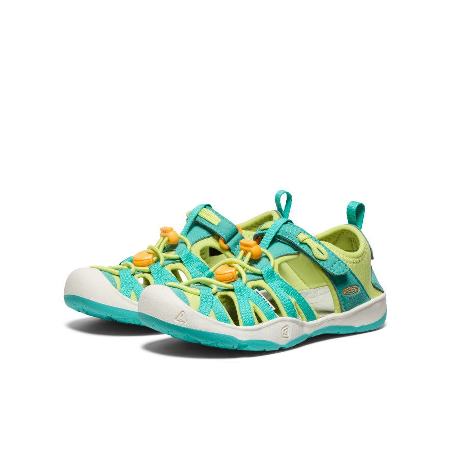 Bleu turquoise vif/Souci vif