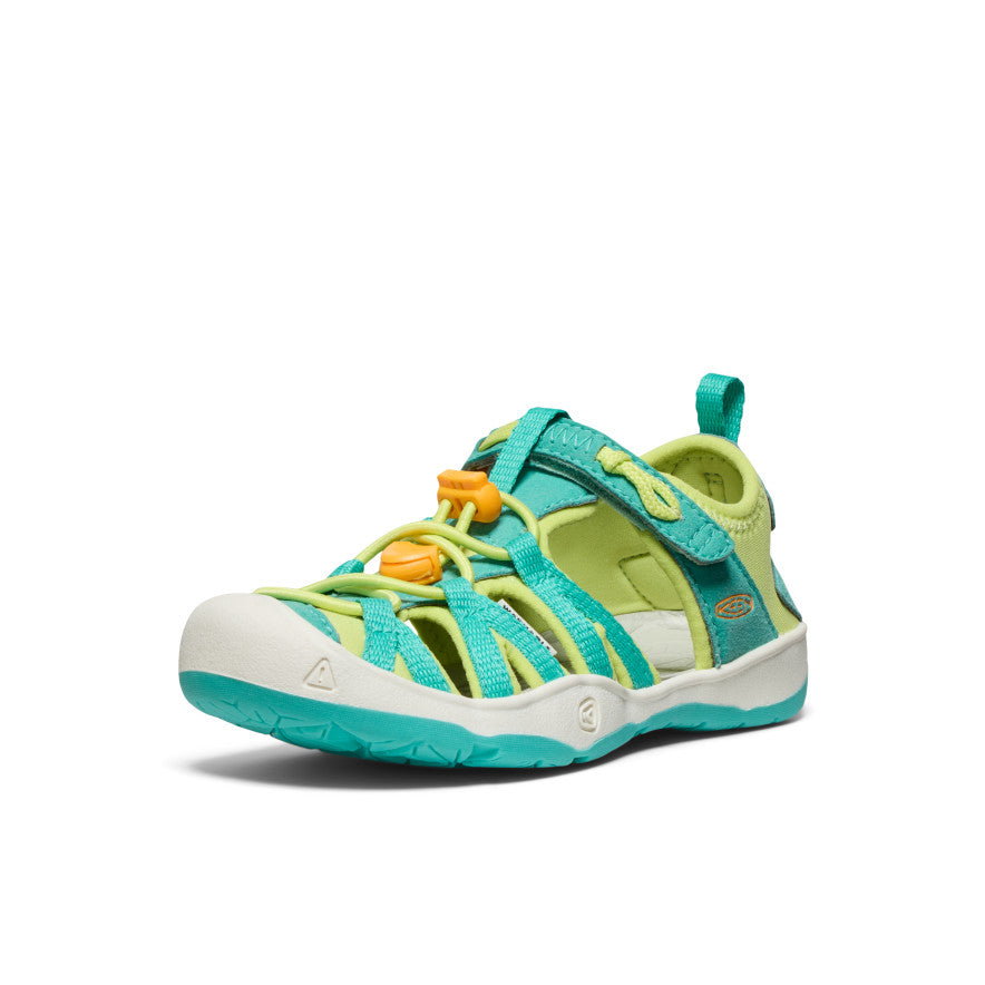 Bleu turquoise vif/Souci vif