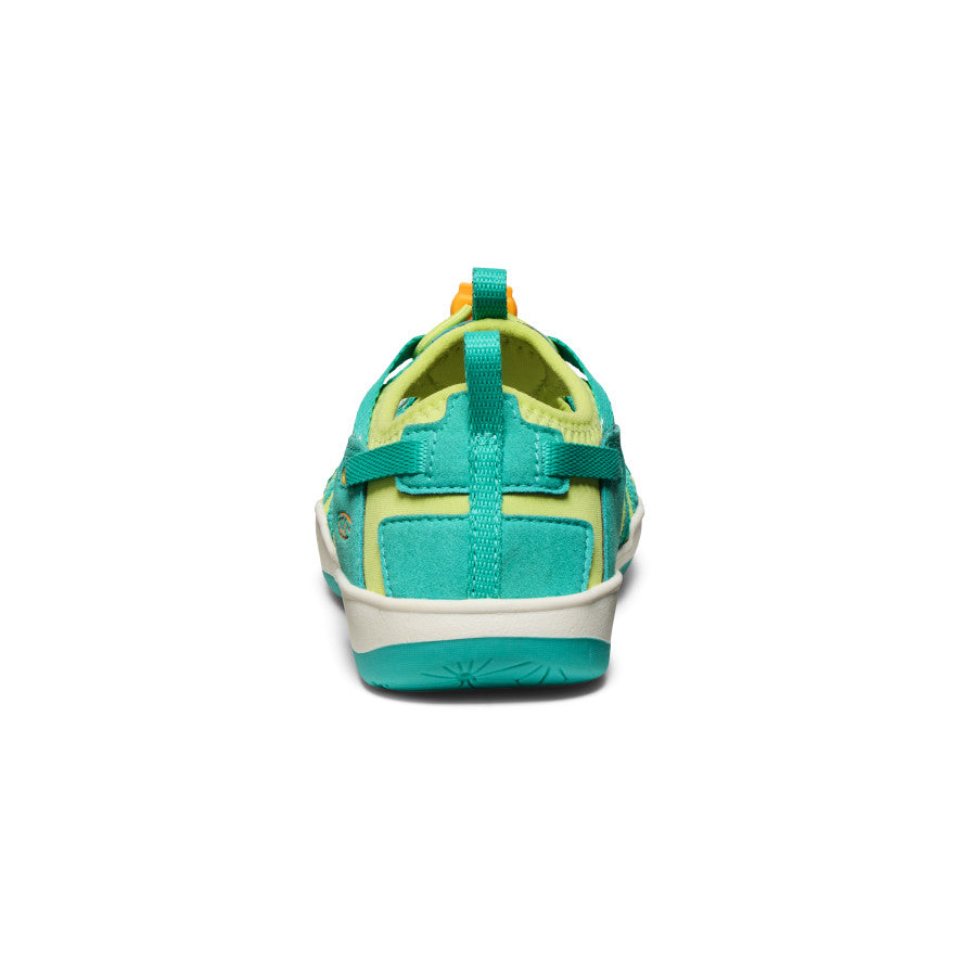 Bleu turquoise vif/Souci vif