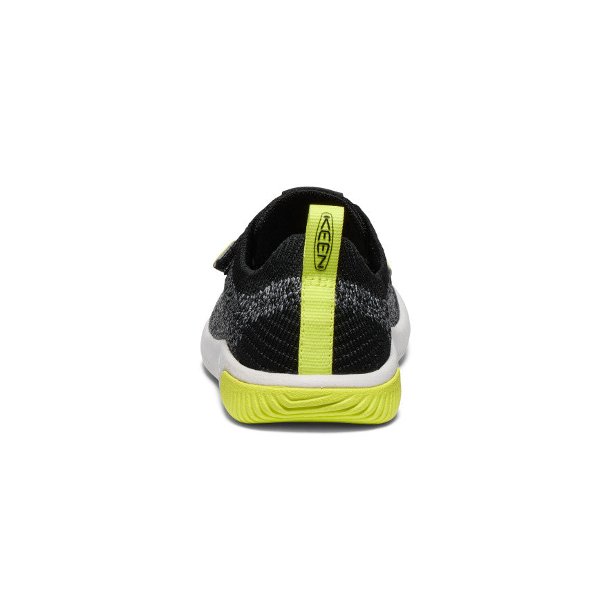 Onagre noire/Onagre du soir
