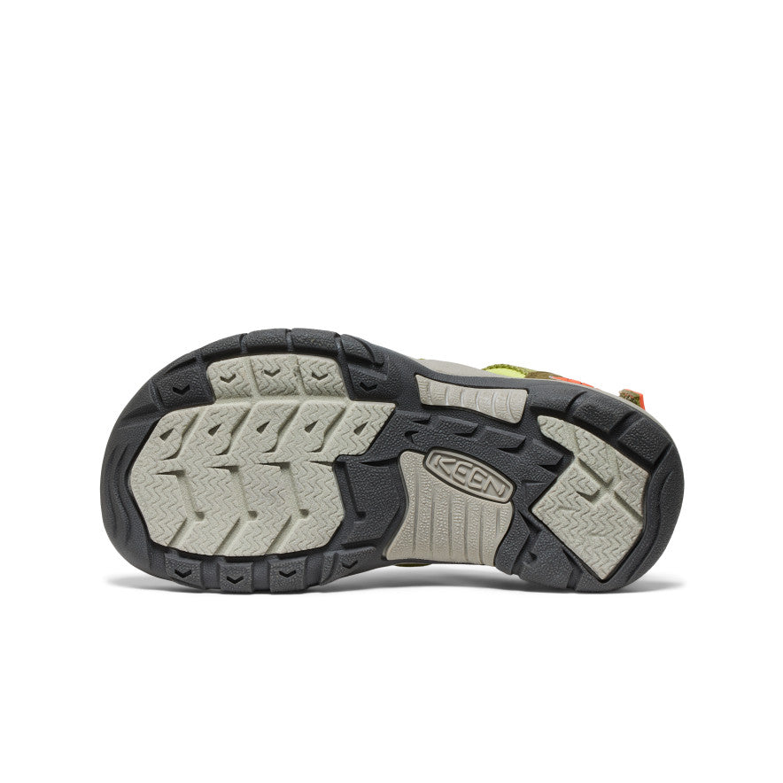 Ibis olive foncé/écarlate