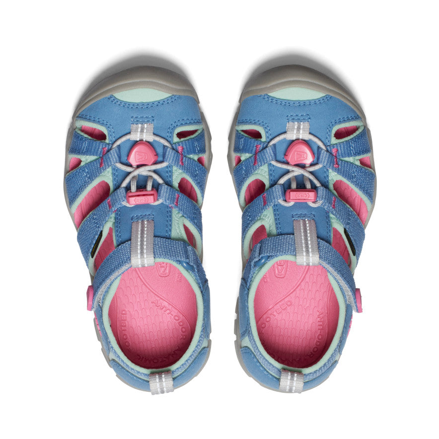 Bleu couronne/Rose vif